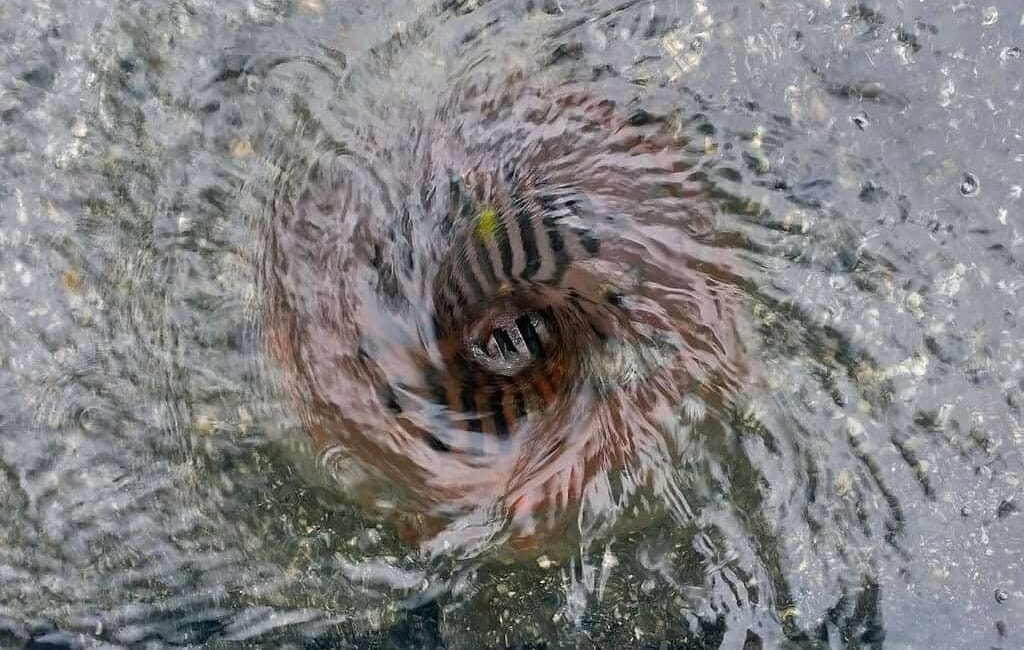 Como Funciona o Serviço de Desentupidora de Esgoto